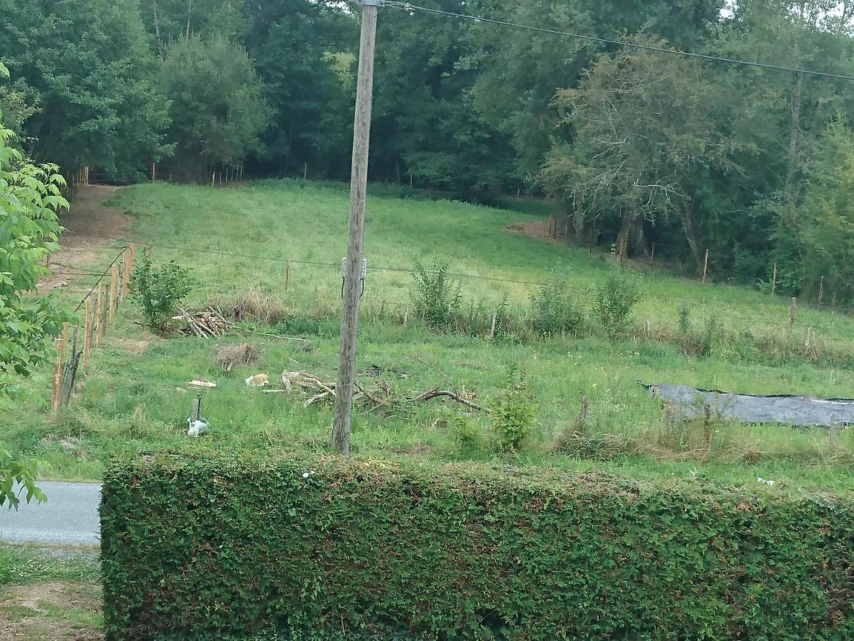 Location Meublee Au Milieu D'Un Ecrin De Verdure Aux Vieux Fours Noaillac エクステリア 写真