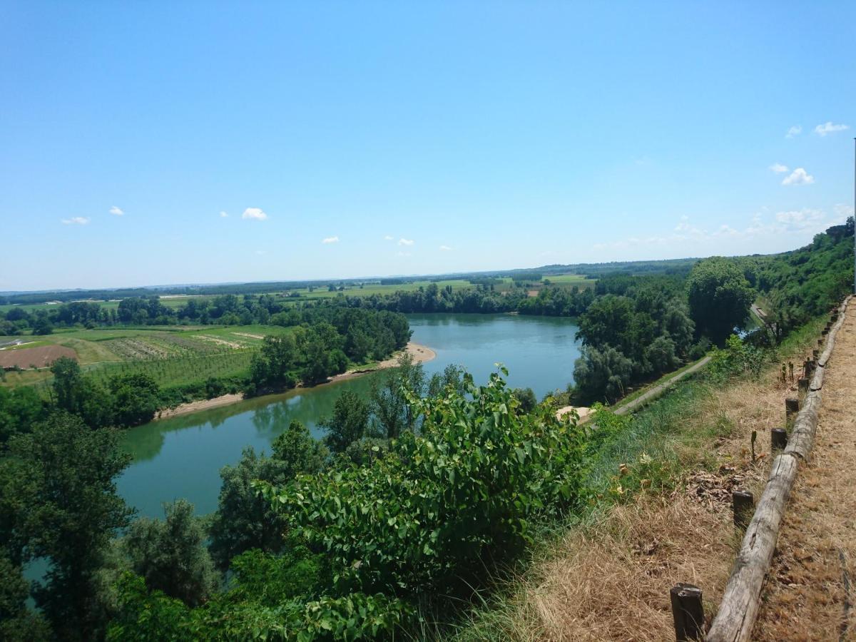 Location Meublee Au Milieu D'Un Ecrin De Verdure Aux Vieux Fours Noaillac エクステリア 写真
